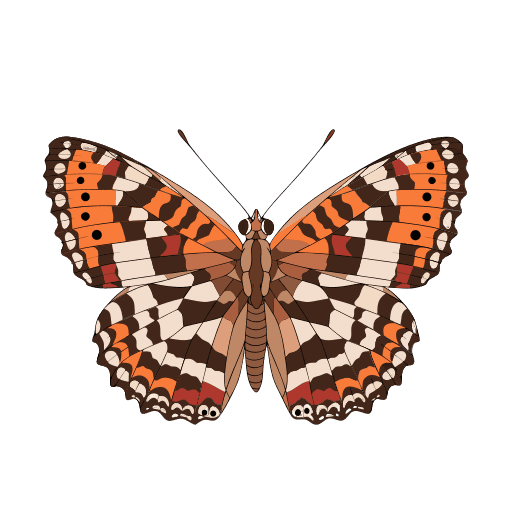 Bataklık İparhanı (Euphydryas aurinia)