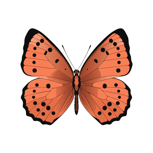 Büyük Bakır (Lycaena dispar)